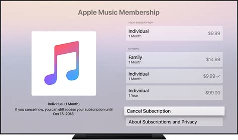 how much is apple music a year? the hidden costs of subscription services